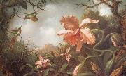 Martin Johnson Heade The Hummingbirds and Two Varieties of Orchids painting